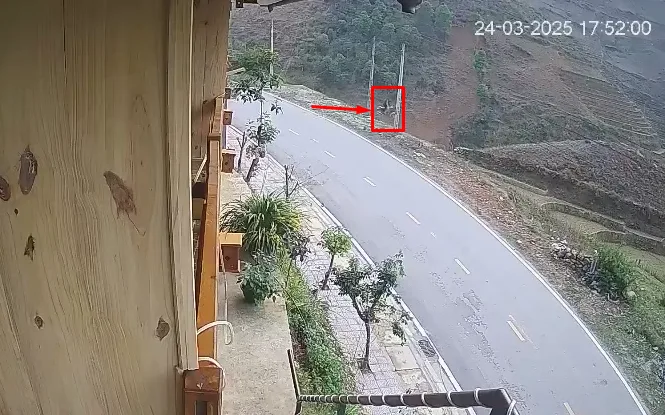 Ôm cua và cái kết: Nạn nhân đã không qua khỏi