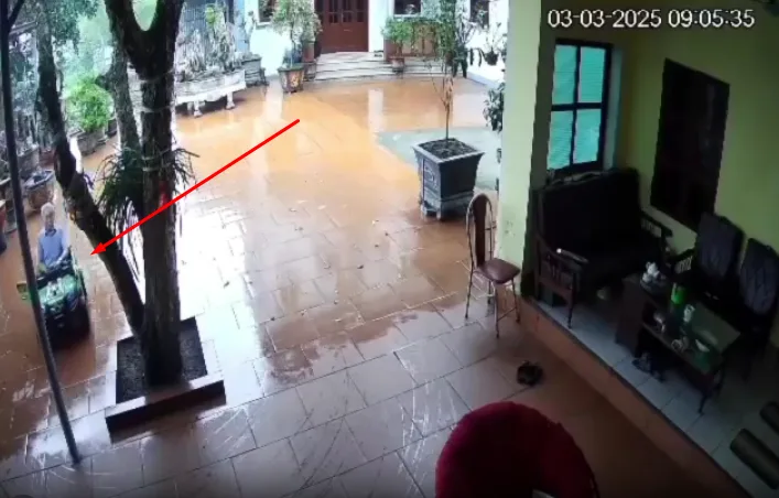 Ông 82 tuổi lấy ô tô của cháu ra lái cho đỡ chán và cái kết.. có chậu hoa mới