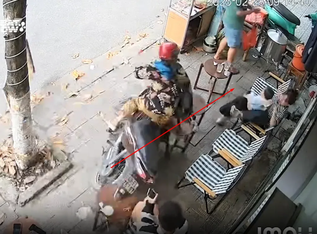 Ủa là sao vậy, không cựa luôn