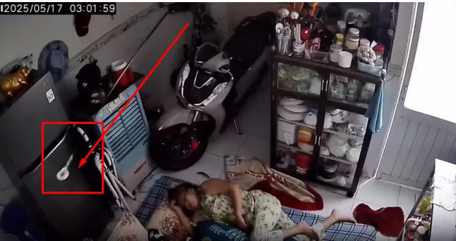 Cũng là đi câu.. mà sao con cá lạ quá :))