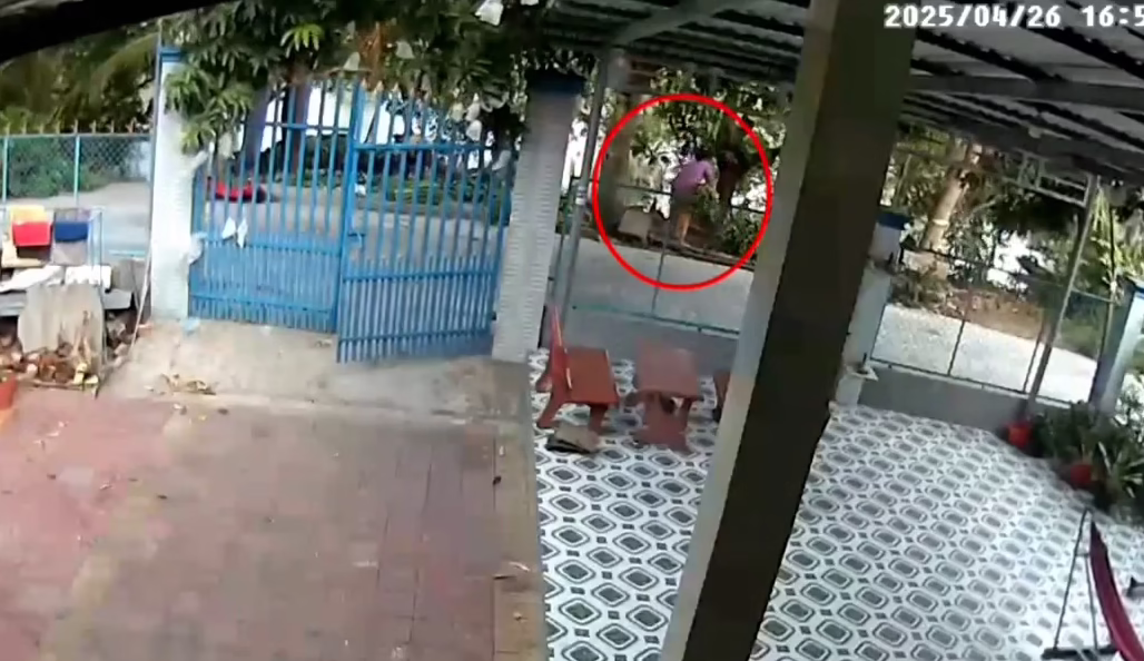 Trời giông sét hạn chế ra khỏi nhà, đứng dưới tán cây nhé mọi người